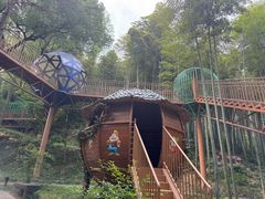 -东明山森林公园