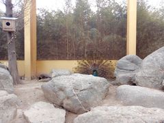-临沂动植物园
