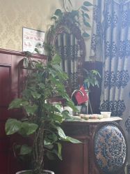 -南京医科大学友谊整形外科医院