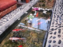 -丽江庭院之爱在路上(西单店)