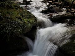 -碧峰峡风景区