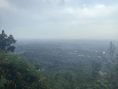 -杭州半山国家森林公园