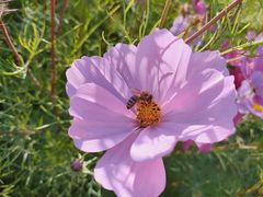 -长春公园(普阳街道)