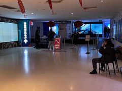 -金逸影城(大悦城IMAX激光店)