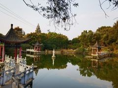 -青龙山国家森林公园
