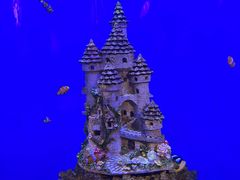 -海合安武汉极地海洋公园
