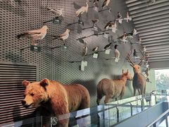-中国湿地博物馆