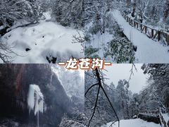 -龙苍沟森林公园