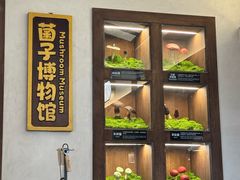 -菌自由丨野生菌火锅特色庭院餐厅(丽江古城店)