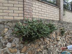 -众神白水涧景区