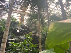 -石家庄市植物园