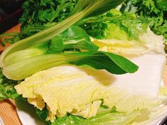 -温野菜涮涮锅(西单大悦城店)