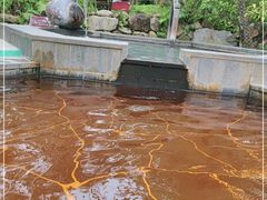 -水底山庄园温泉
