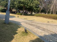 -洋湖国家湿地公园