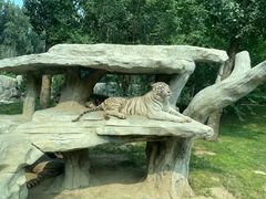 -北京野生动物园