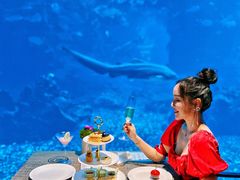 -涛·海底餐厅·美人鱼·自助餐·海底隧道(三亚海棠湾洲际度假酒店)