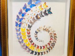 -广州白天鹅宾馆