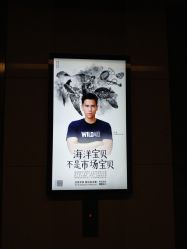 -西施无菌半永久纹绣眉眼影唇轻增发纹发际线