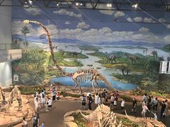 -自贡恐龙博物馆