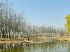 -东郊湿地公园