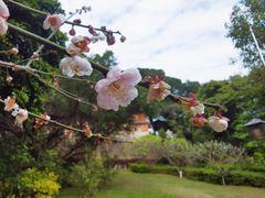 -草庵摩尼教遗址公园