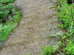 -门溪山居·镜岭味道