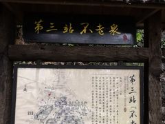 景点-天门沟九州驿站树上汤泉