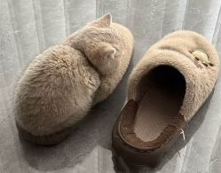 -润复丝·泽发防脱头皮管理