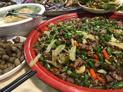-东吴霸王兔(松青路店)