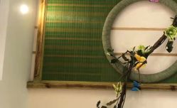 -芳朵美容养生SPA