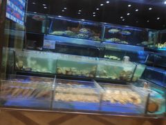 -金翠皇宫粤菜·点心·海鲜(科技园店)