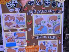 -正佳雨林生态植物园