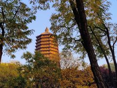 -玲珑塔公园