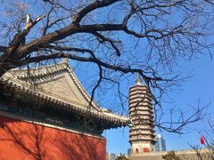 -天津妈祖文化园