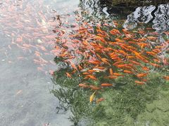-水磨沟公园