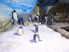 -成都浩海立方海洋公园