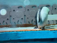 -正佳极地海洋世界