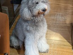 -沏点Trattoria意大利餐厅(新街口店)