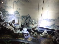 -御轩足道·SPA·养生·保健(瑞金北路店)