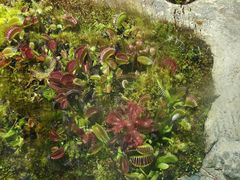 -国家植物园南园