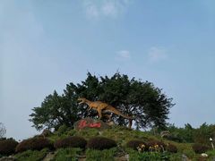 -自贡恐龙博物馆