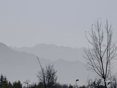 -洨河生态公园