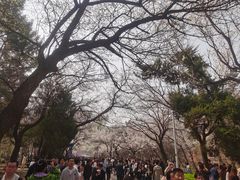 -吉林大学(南岭校区)