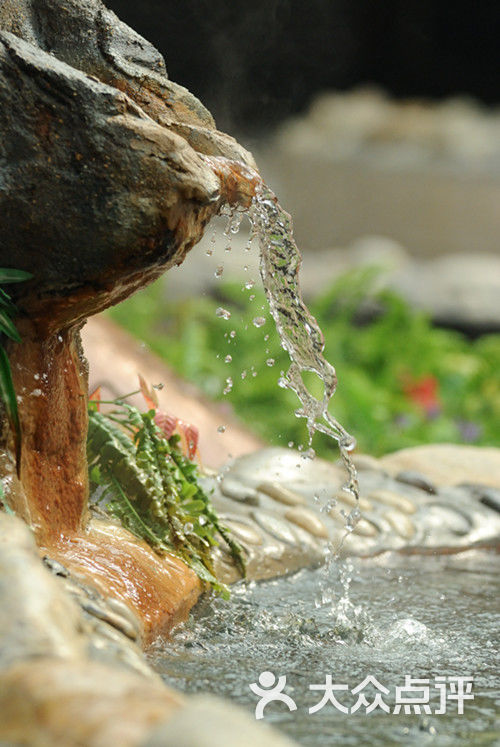 白云御温泉-图片-东营周边游-大众点评网