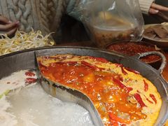 -阳阳老火锅(小南门店)