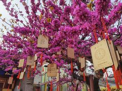 -西安市广仁寺