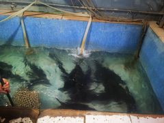 -杨林闻老三酸菜鱼(总店)