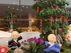 -郑州新郑国际机场-T2航站楼