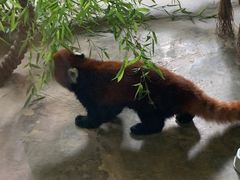 -济南野生动物世界