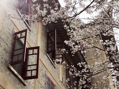 -武汉大学-樱园